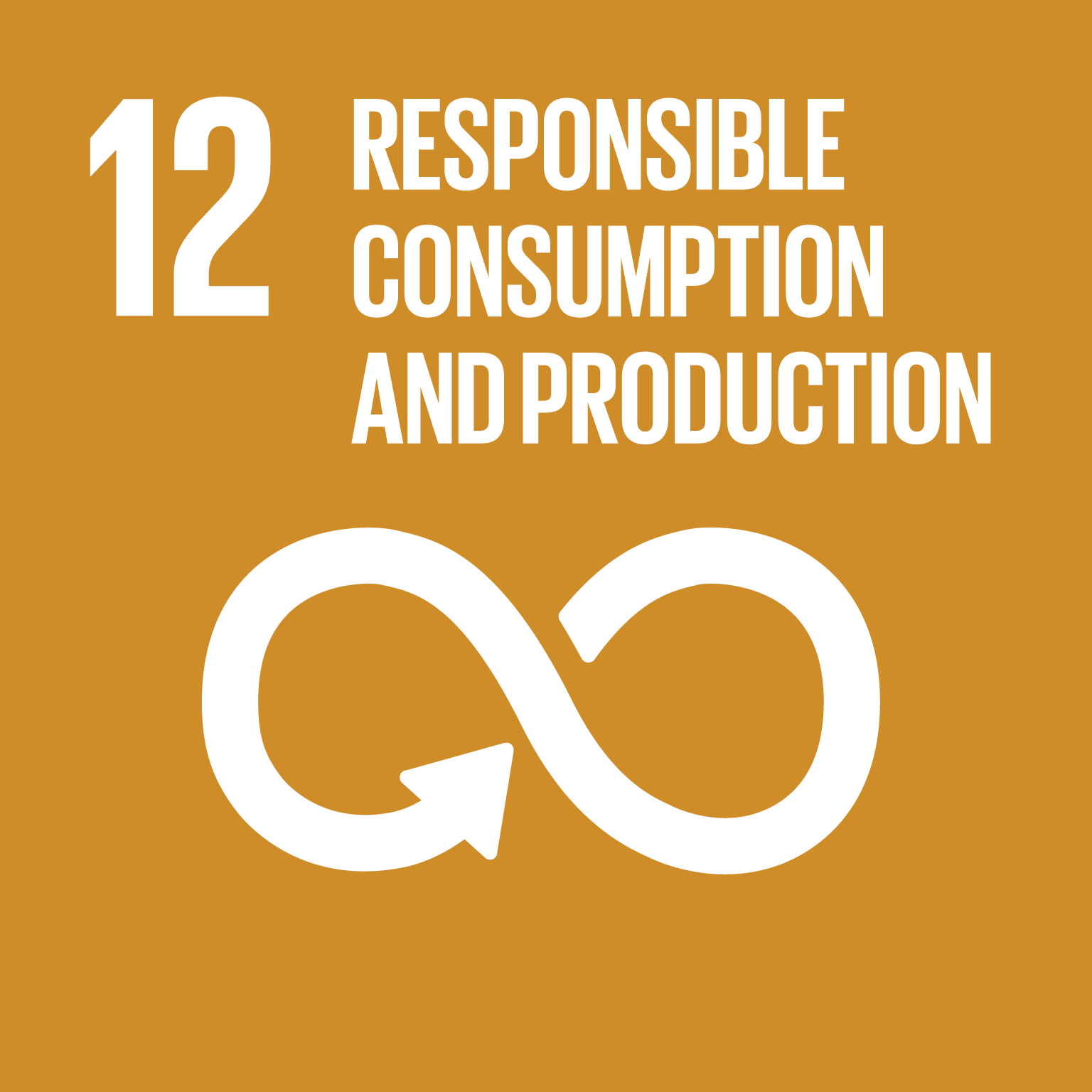 SDG 12 logo