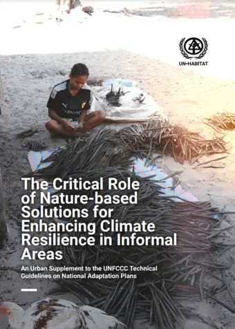 The Critical Role of Nature-based Solutions for Enhancing Climate Resilience in Informal Areas